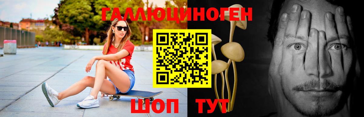 что такое   Псилоцибиновые грибы мицелий  Вход с VPN  Псилоцибиновые грибы мухоморы  Ртищево 